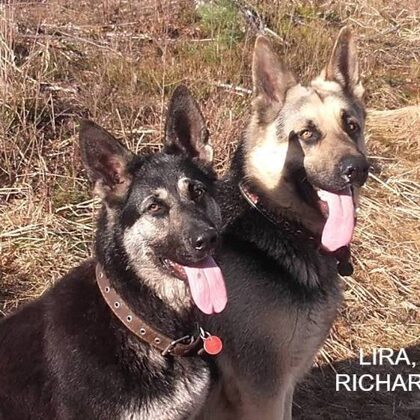 папа и мама