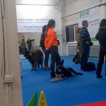 Занятия у Щербина.