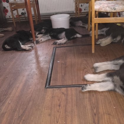 После прививки -здоровый сон!