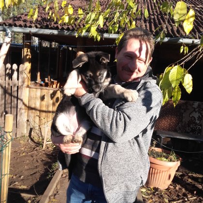 SIMBA-самые лучшие папа и мама в Латвии