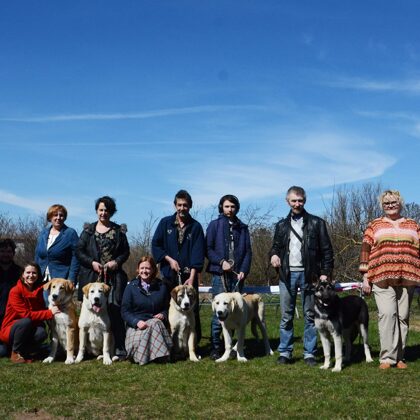Клуб РУСГУАРД,смотр щенков.