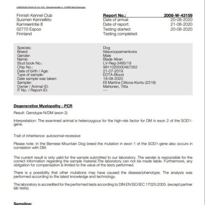 тест на дисплазию